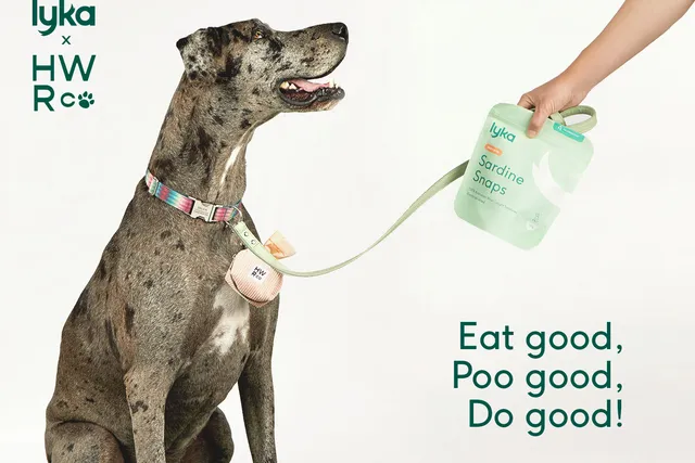 From chew to poo: Why fresh is best for the planet and your dog’s Number Twos | Lyka Pet Food