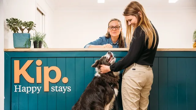 Kip Happy stays reception desk