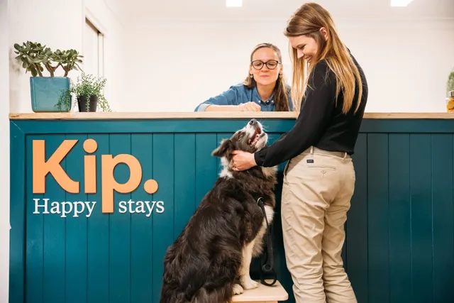 Kip Happy stays reception desk