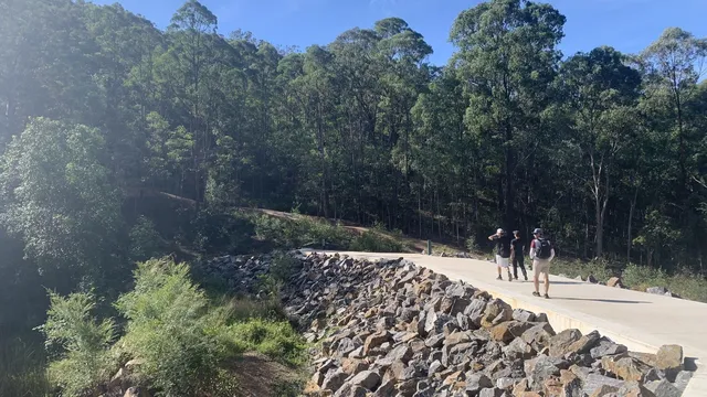 Mt Coot-tha - A dog-friendly Brisbane bush walk