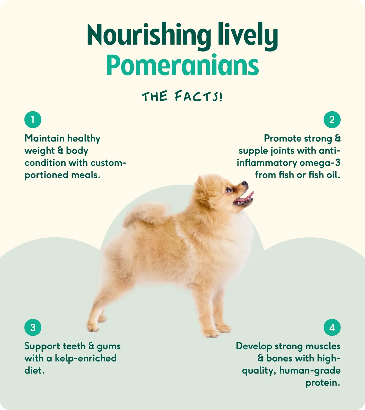 Pomeranian nutrition facts