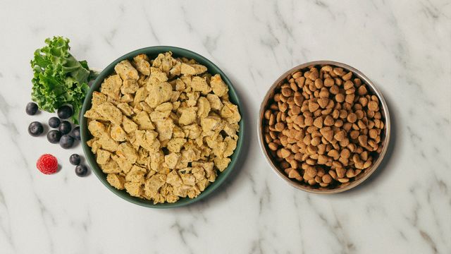 Bowl of fresh dog food next to a bowl of kibble