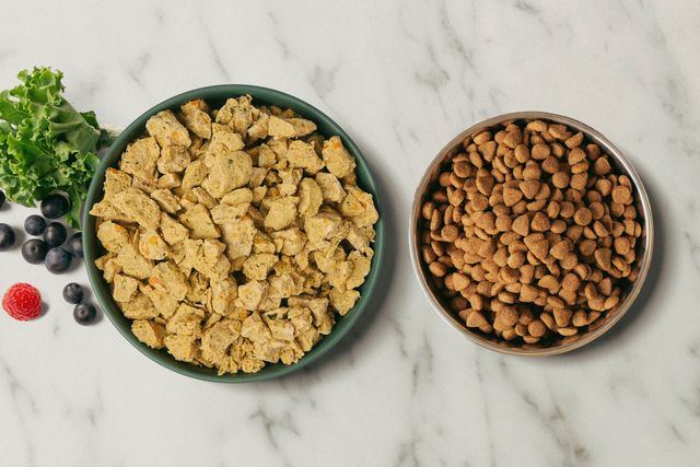 Bowl of fresh dog food next to a bowl of kibble