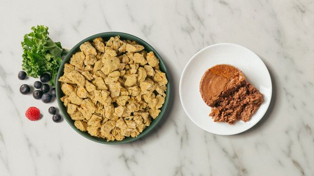 Fresh dog food vs canned