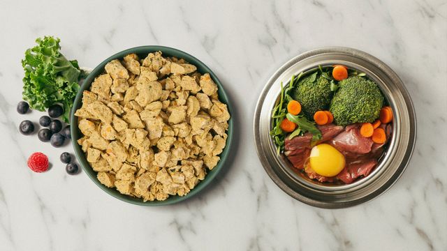 Fresh dog food vs raw