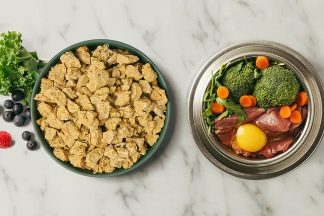 Fresh dog food vs raw