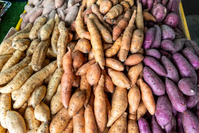 Sweet potato varieties