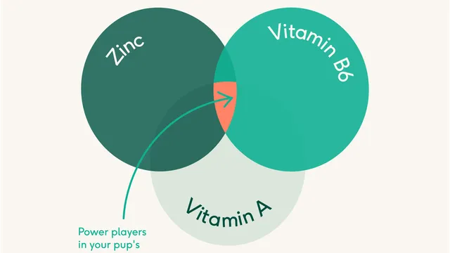 Vitamin A, B6 & Zinc diagram