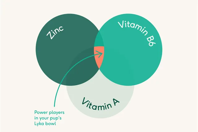 Vitamin A, B6 & Zinc diagram