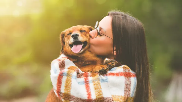 Woman hugging and kissing a happy dog