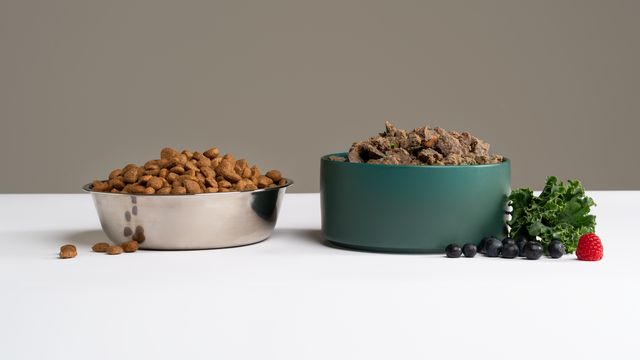 bowl of dry kibble next to fresh dog food made with real ingredients