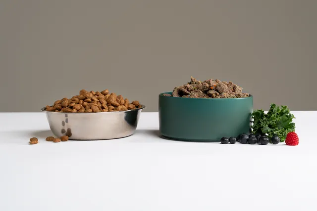 bowl of dry kibble next to fresh dog food made with real ingredients