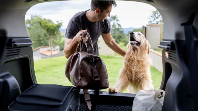 Young man putting bag in car boot while patting dog
