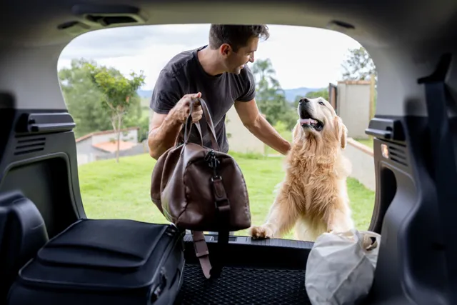 Young man putting bag in car boot while patting dog