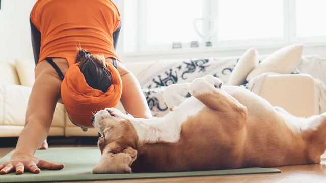 Woman and dog doing yoga