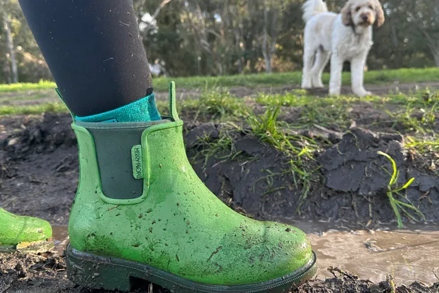 10 dog-friendly walks to conquer with your dog this winter