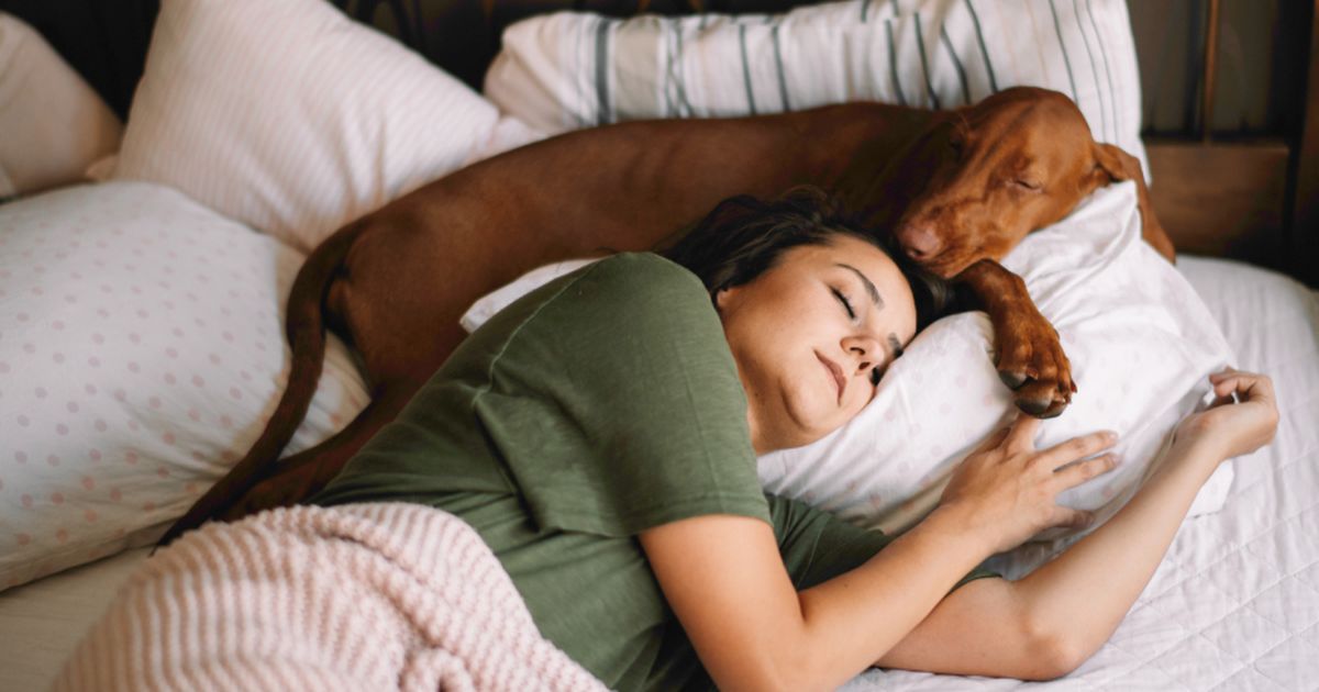 Long walks and lots of love: how dogs change us for good | Lyka Blog