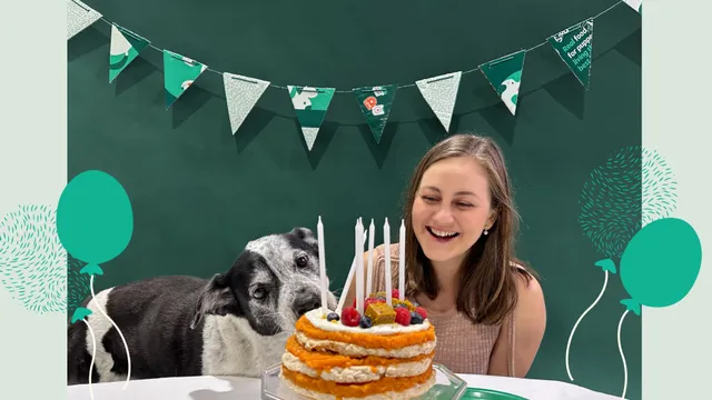Happy 14th birthday, Lyka! Here’s to healthy ageing.