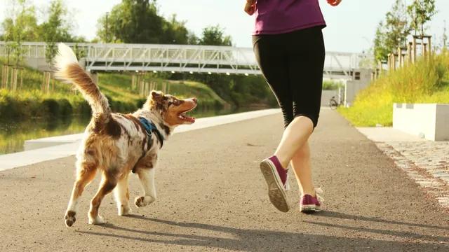woman in activewear running along track with dog