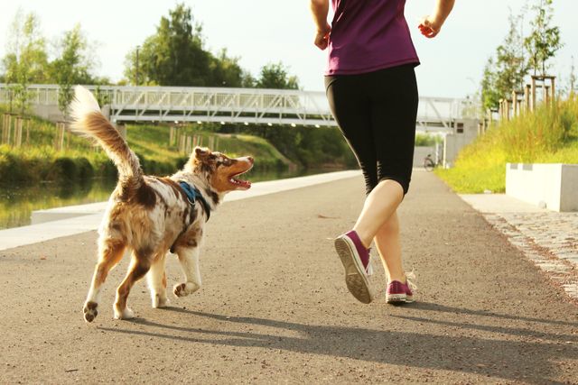 woman in activewear running along track with dog