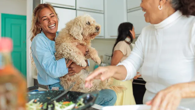 two ladies laughing while serving up food in the kitchen, one is holding a cavoodle